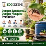 Dengue Symptoms & Dengue Mosquito Protection