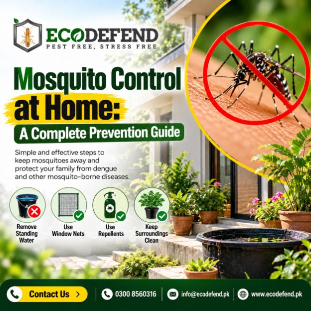 Mosquito Control at Home