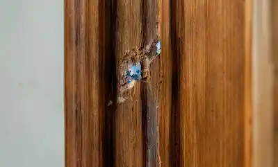 Doors & Frames