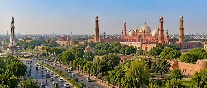 Pest Control Services in Lahore