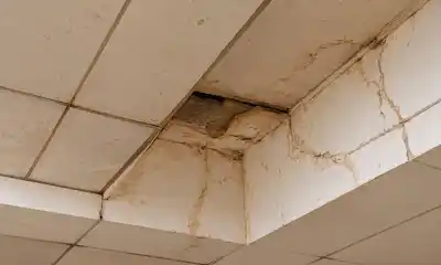 False Ceilings